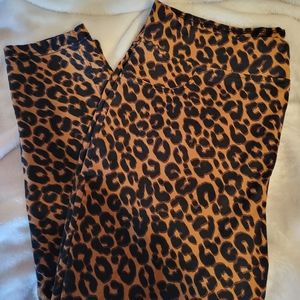 Pre-Owned, TERRA SKY Jeans, Leopard Print, Size: 2X - 20/22W